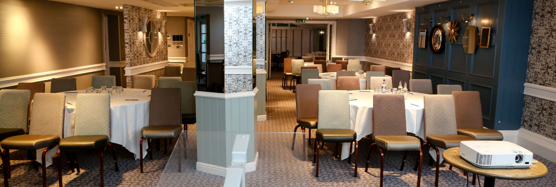 B Cardoon Suite.jpg