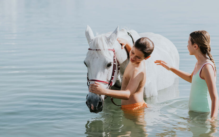 JA_BEACH_RESORT_HORSES_0425.jpg