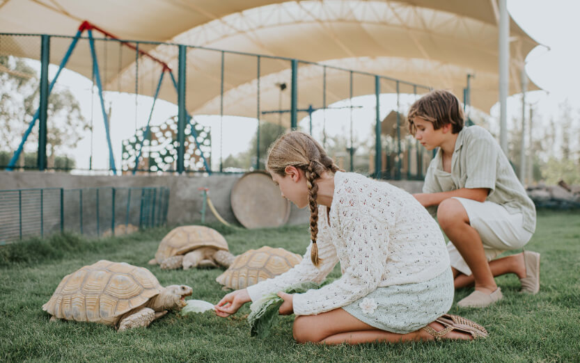 JA_HATTA_FORT_ANIMAL_SANCTUARY_0132.JPG