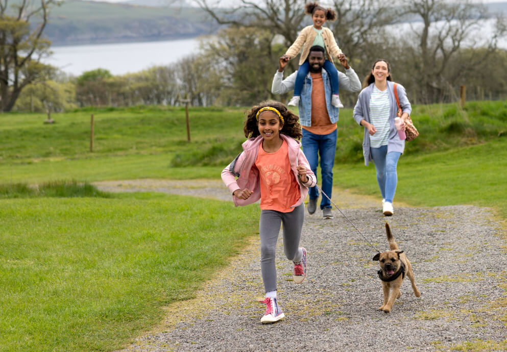 MH dog walk.jpg